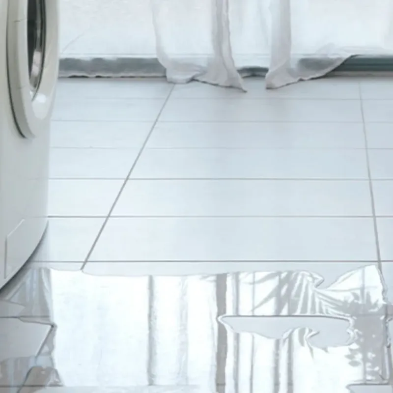 Appliance Leak Cleanup in Basin City, WA