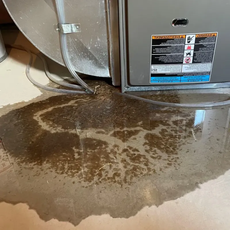 Pipe Burst and Leak Restoration in Basin City, WA