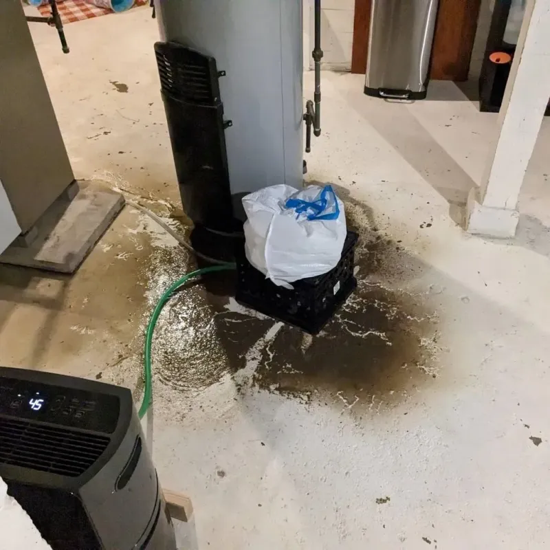 Sewage Backup Cleanup Service in Basin City, WA